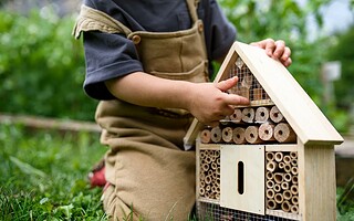 Fabriquer un hôtel à insectes : mode d’emploi