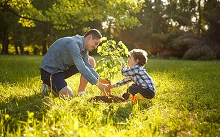 Jardin : 7 petits gestes pour sauver la biodiversité