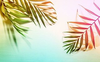 Comment prolonger l’été à la maison ?