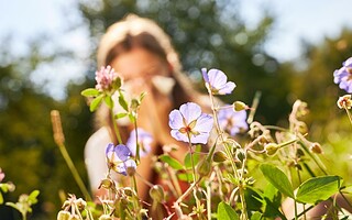 Allergies saisonnières : quels gestes adopter ?