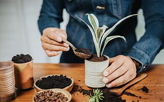 Comment re-utiliser le marc de café?