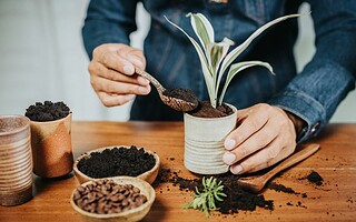 Comment réutiliser le marc de café ?