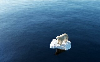 Réchauffement climatique : les points de non-retour