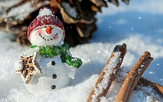 Envie de passer Noël à la neige ? 