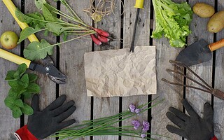 Comment réaliser une jardinière avec une palette ?
