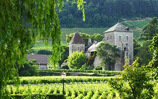 Que faire en Bourgogne-Franche-Comté ? 