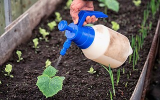 Bière et jardin : 3 utilisations 100% naturelles