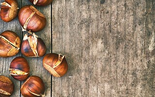5 choses que vous ne savez pas sur la châtaigne