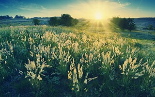 10 lieux-nature « magiques et insolites » dans l'Hexagone