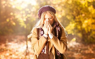 Allergies en automne : quelles plantes privilégier et éviter ?