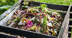 20 ingrédients à mettre dans un compost... ou pas